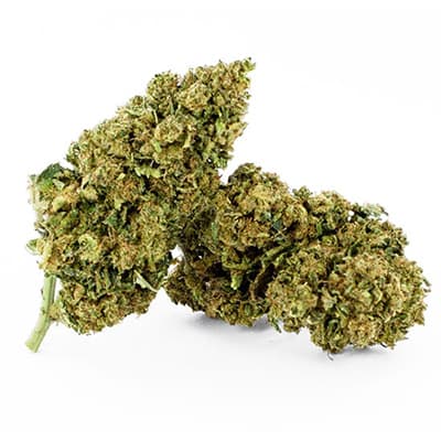 Grossista canapa svizzera Ticino, cannabis light legale cbd all'ingrosso, weed ACAPULCO GOLD