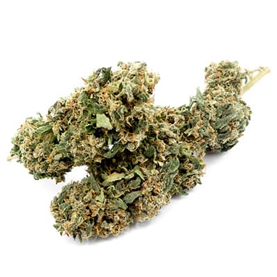 Grossista canapa svizzera Ticino, cannabis light legale cbd all'ingrosso, weed Ball Kush