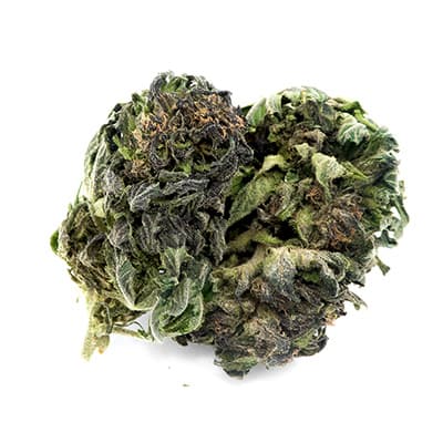Grossista canapa svizzera Ticino, cannabis light legale cbd all'ingrosso, Deep purple