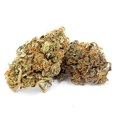 Grossista canapa svizzera Ticino, cannabis light legale cbd all'ingrosso, weed Epsilon 68