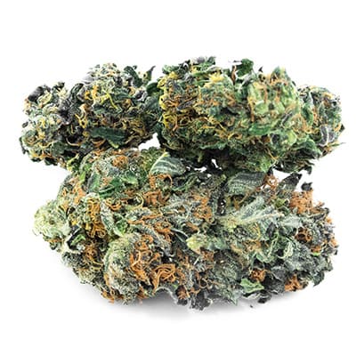 Grossista canapa svizzera Ticino, cannabis light legale cbd all'ingrosso, weed Hawaiian