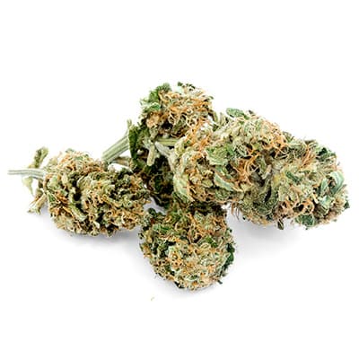 Grossista canapa svizzera Ticino, cannabis light legale cbd all'ingrosso, weed Lemon widow