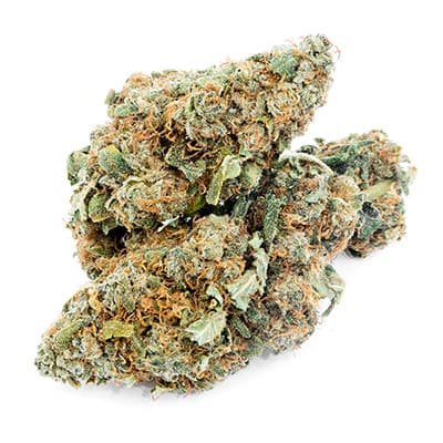 Grossista canapa svizzera Ticino, cannabis light legale cbd all'ingrosso, weed Orange Bud