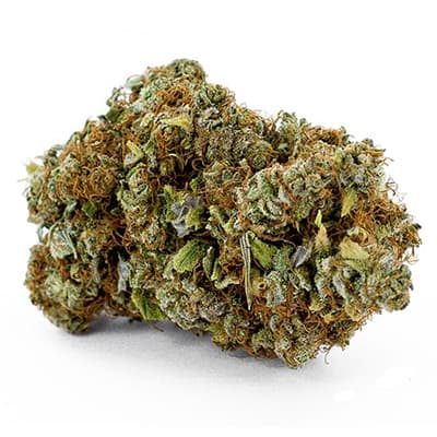Grossista canapa svizzera, cannabis light legale cbd all'ingrosso, weed POWER FLOWER