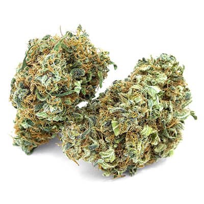 Grossista canapa svizzera Ticino, cannabis light legale cbd all'ingrosso, weed ACAPULCO GOLD
